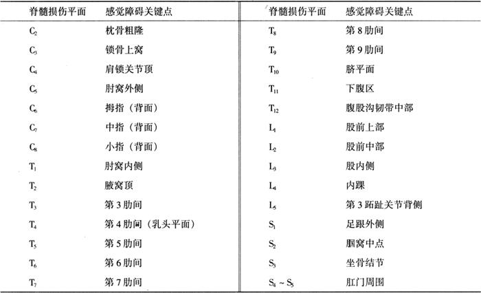 表8-4 脊髓损伤后感觉障碍关键点