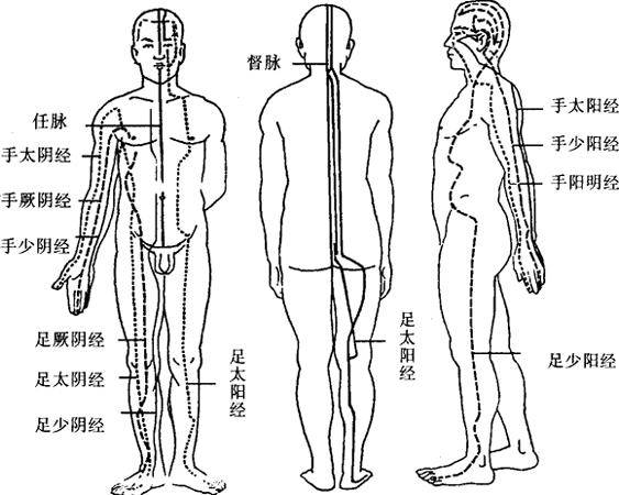 属于十二脏腑,也无阴阳,表里配偶关系,不受十二正经约束而"别道奇行"