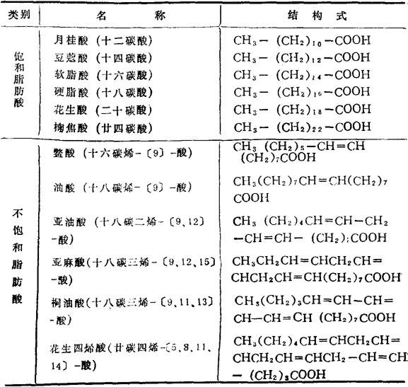 表2 常见油脂中所含的重要脂肪酸